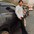 Shubham 