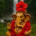 Munesh Kumar