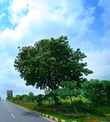 Fortune Properties Hyderabad, Telangana 