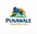 Punawale Properties 