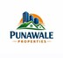 Punawale Properties