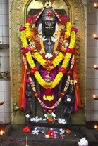 Jay Arvind Desai profile picture