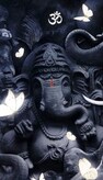 Vijay Kumar