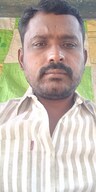 profile pic
