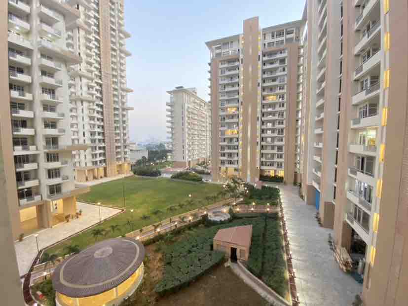 Rental 3 Bedroom 1200 Sq.Ft. Independent House in Vatika Primrose Floors, Sector 82 Gurgaon
