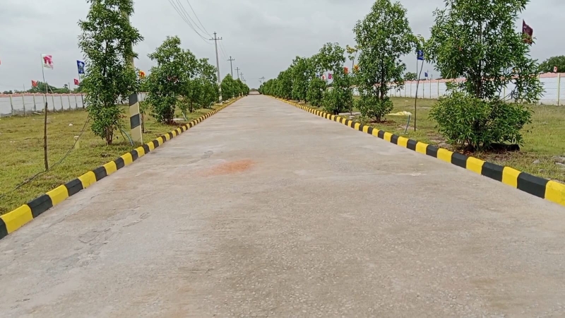 Rajendar Rai 