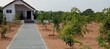 Sandeep Gouri Hyderabad, Telangana 