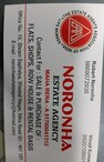 Robert B Noronha