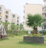 Jitendar Kumar