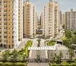 Krishan Yadav Gurgaon, Haryana 