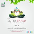 All About Farms Noida, Uttar Pradesh 