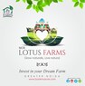 All About Farms