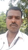 profile pic