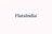 Flatsindia