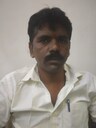 profile pic