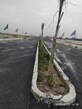 Pankaj Kumar Dwivedi photo