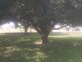 Waseem photo