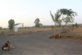 Sachin Parab photo