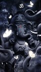 Vijay Kumar photo