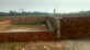 Chittranjan Dwivedi photo
