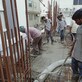 Psrrao photo
