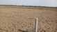 Khemani Land photo