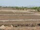 Khemani Land photo