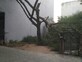 Vishwa photo