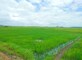 Inches2acres photo