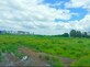 Inches2acres photo