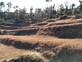 Jyoti Kushwaha photo