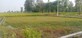 Saurabh photo