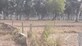 Saurabh photo