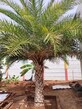 Chennai Best Property photo