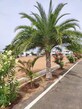 Chennai Best Property photo