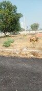 Sonukumar Gautam photo