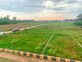 Sanjay Raj photo