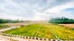 Sanjay Raj photo
