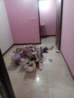 Anil Kumar photo