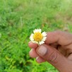 button