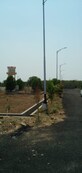 Kolluri Vijaya Kumar photo