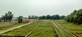 Jitendra photo