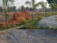 Umesh Kumar photo