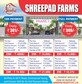 Shreepad Heights Pvt Ltd photo