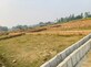 Sanjay Singh photo