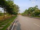 Gangadhar photo