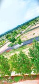 Muder Shekar photo