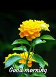 Parasuram photo