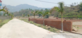 Arsh Grewal photo
