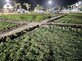 All About Farms photo